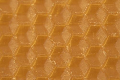 beeswax combs honeycomb