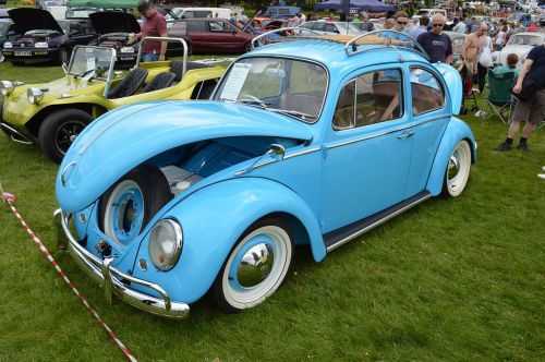 beetle retro classic