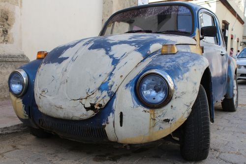 beetle auto vw beetle