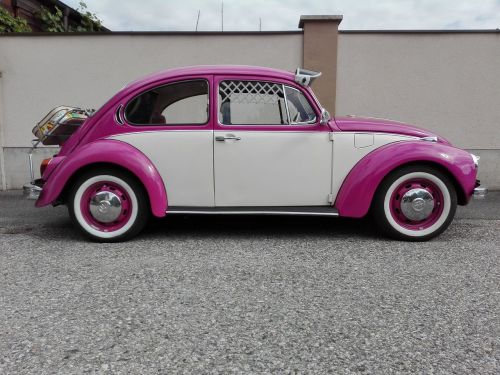 beetle pop pink