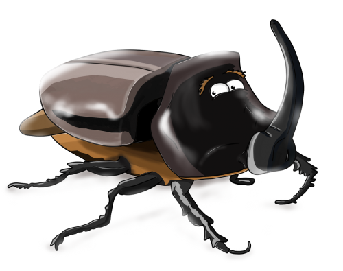 beetle rhino insect