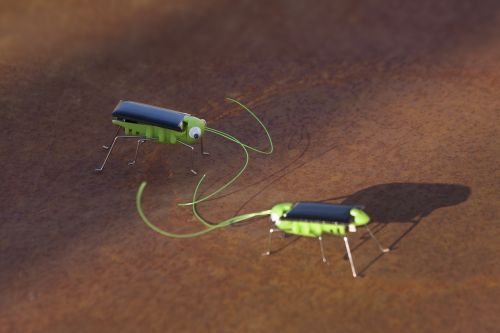 beetle toys photovoltaic