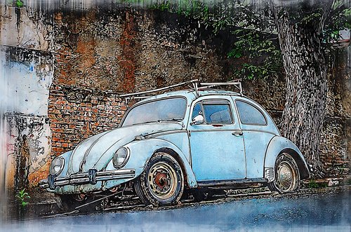 beetle  car  automotive