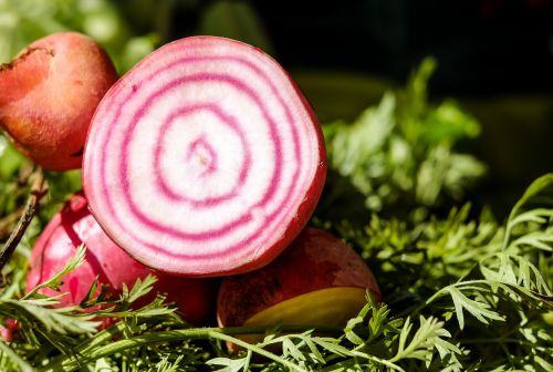beetroot turnip colorful