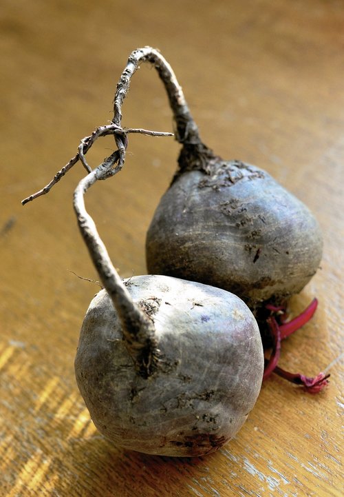 beetroot  vegetables  root