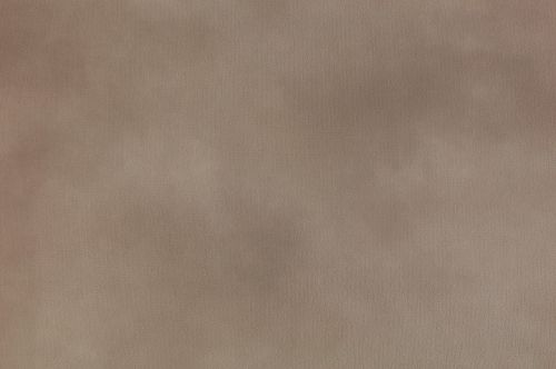 beige suede background