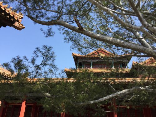 beijing the national palace museum chinese architecture