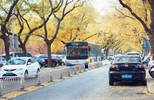 beijing greenway autumn