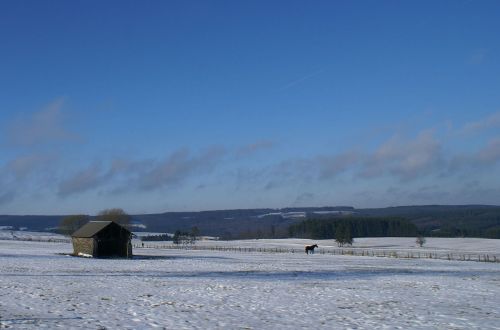 belgium ardennes pasture