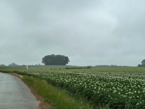 belgium landscape sky