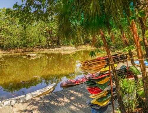 belize bacab jungle park kayaks