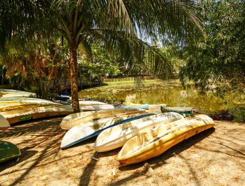 belize bacab jungle park kayaks