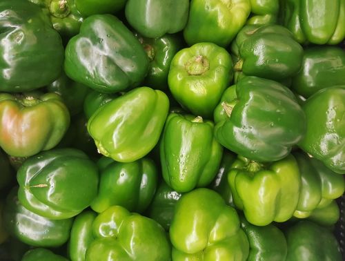 bell peppers capsicum vegetables