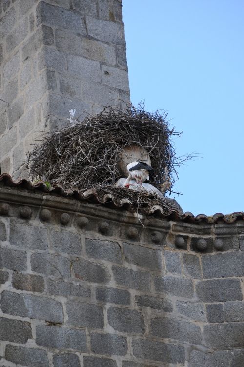 bell tower stork city