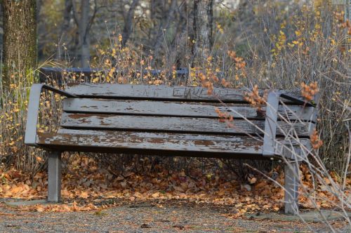 bench rustic weathered