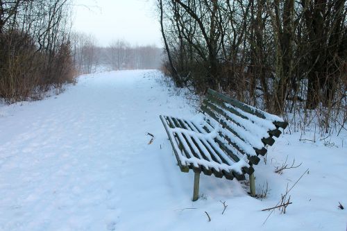bench snow snowy bench