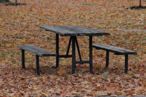 bench fall nature