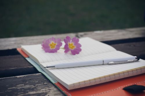 bench flowers notebook
