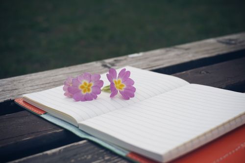 bench flower notebook