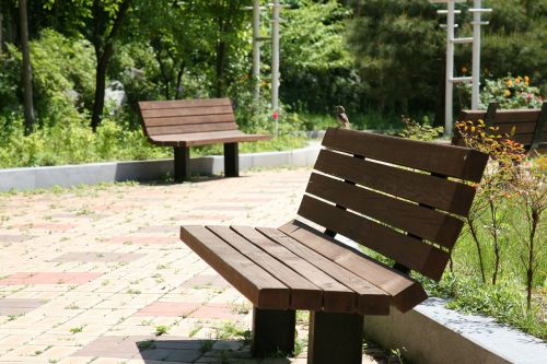 bench chair park