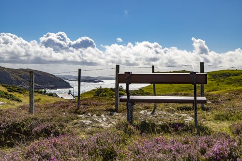 Bench