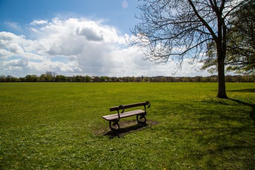 Bench