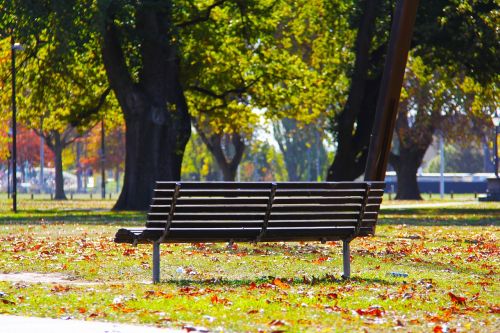 bench blue sky