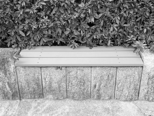 bench green black and white