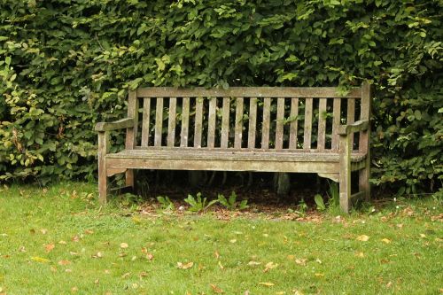 bench nature outdoor