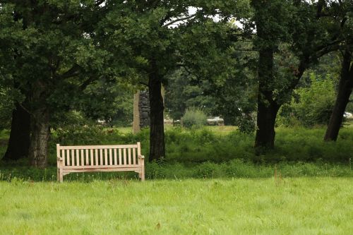 bench nature outdoor