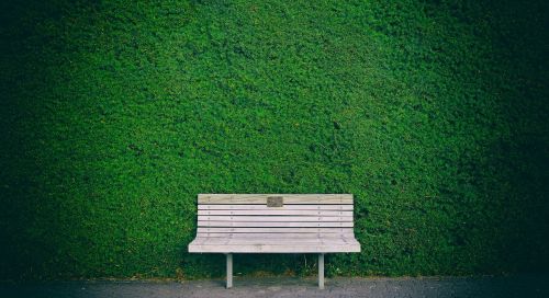 bench hedge green