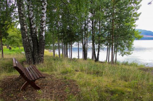 bench lake nature