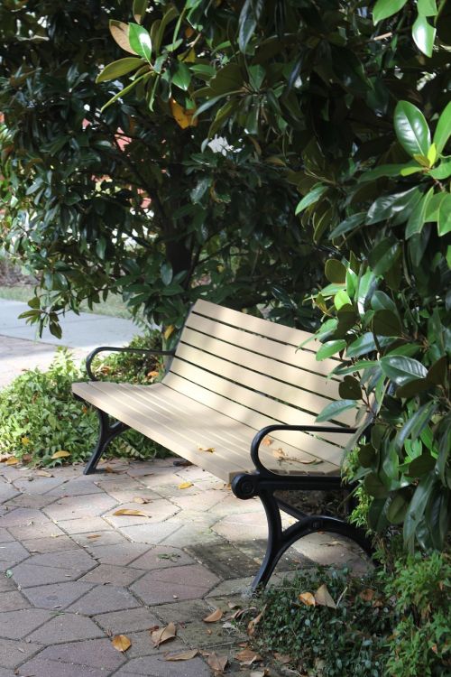 bench park peaceful