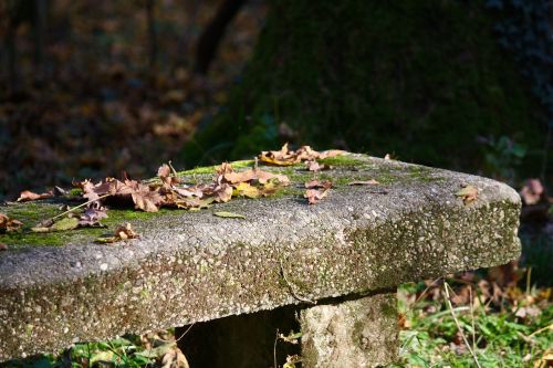 bench autumn leaf