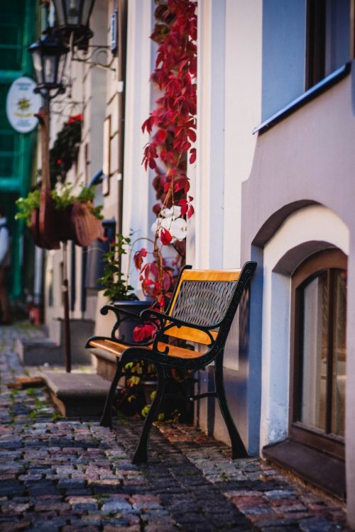 bench pavement plant