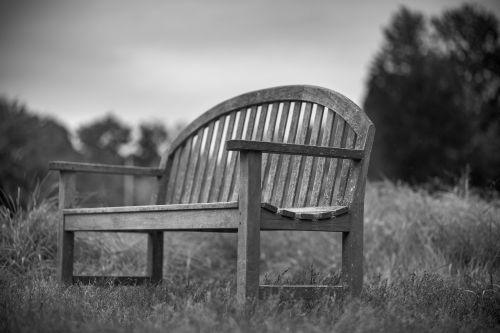 bench black and white landscape