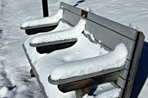 bench snowy winter