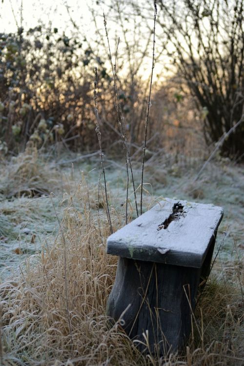 bench cold frost