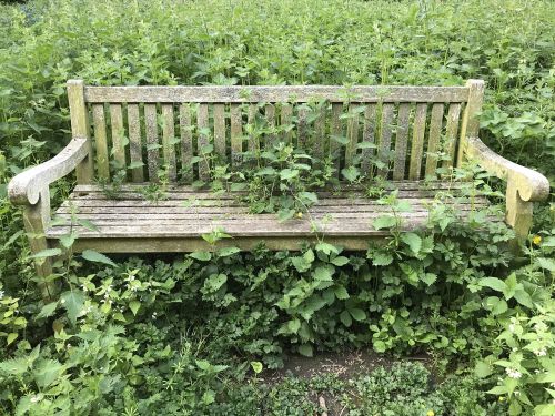 bench abandoned old