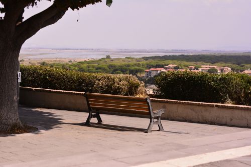 bench lonely tree