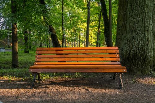 bench park evening