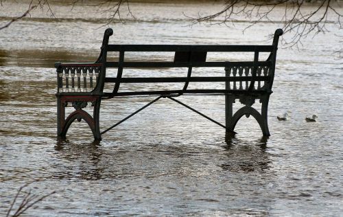 bench flood park