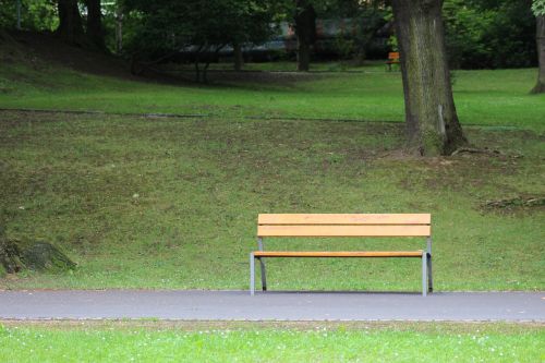 bench park bench park