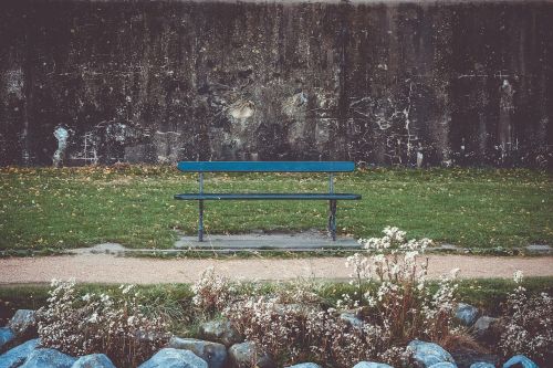 bench green grass