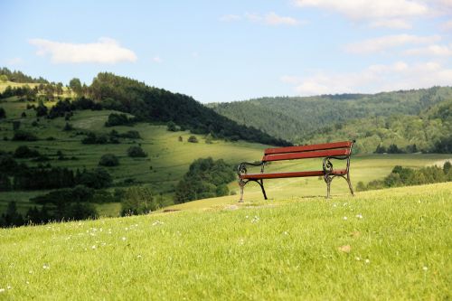 bench park alley