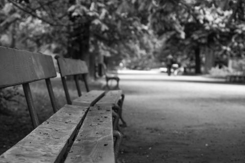bench park bokeh