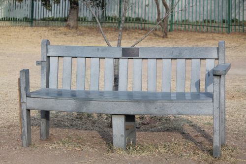 bench park seat sit