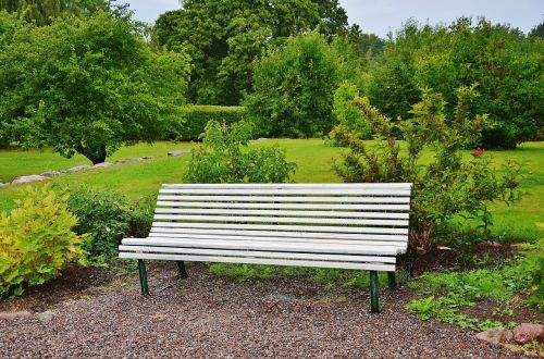 bench park sit