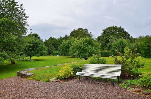 bench park sit