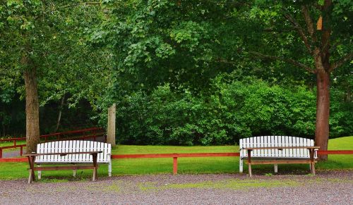 bench park sit